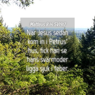 Picture 04 - Matteus 8:14 SV1917 - När Jesus sedan kom in i Petrus' hus, fick han - Bible Verse Picture