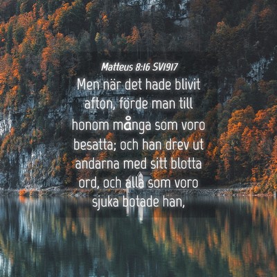 Picture 04 - Matteus 8:16 SV1917 - Men när det hade blivit afton, förde man till - Bible Verse Picture