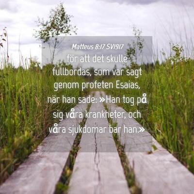 Picture 04 - Matteus 8:17 SV1917 - för att det skulle fullbordas, som var sagt - Bible Verse Picture