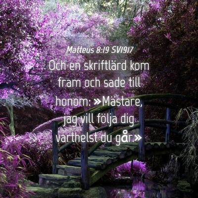 Picture 04 - Matteus 8:19 SV1917 - Och en skriftlärd kom fram och sade till honom: - Bible Verse Picture