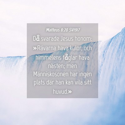Picture 04 - Matteus 8:20 SV1917 - Då svarade Jesus honom: »Rävarna hava kulor, - Bible Verse Picture