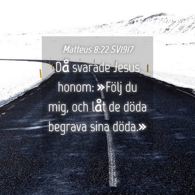 Picture 04 - Matteus 8:22 SV1917 - Då svarade Jesus honom: »Följ du mig, och låt - Bible Verse Picture