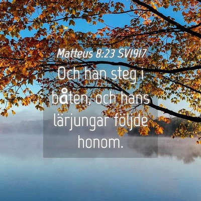 Picture 04 - Matteus 8:23 SV1917 - Och han steg i båten, och hans lärjungar - Bible Verse Picture