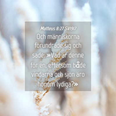 Picture 04 - Matteus 8:27 SV1917 - Och människorna förundrade sig och sade: »Vad - Bible Verse Picture