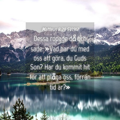 Picture 04 - Matteus 8:29 SV1917 - Dessa ropade då och sade: »Vad har du med oss - Bible Verse Picture