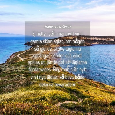 Picture 04 - Matteus 9:17 SV1917 - Ej heller slår man nytt vin I gamla - Bible Verse Picture