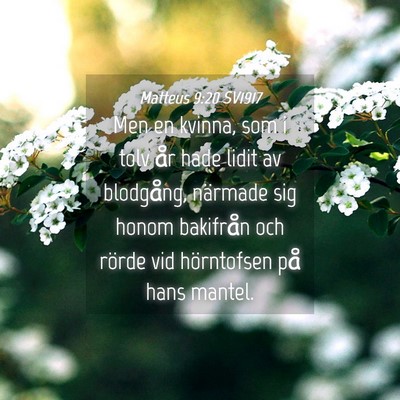 Picture 04 - Matteus 9:20 SV1917 - Men en kvinna, som i tolv år hade lidit av - Bible Verse Picture