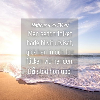 Picture 04 - Matteus 9:25 SV1917 - Men sedan folket hade blivit utvisat, gick han in - Bible Verse Picture