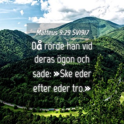 Picture 04 - Matteus 9:29 SV1917 - Då rörde han vid deras ögon och sade: »Ske - Bible Verse Picture