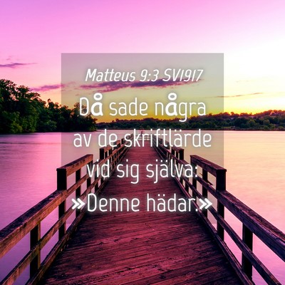 Picture 04 - Matteus 9:3 SV1917 - Då sade några av de skriftlärde vid sig - Bible Verse Picture
