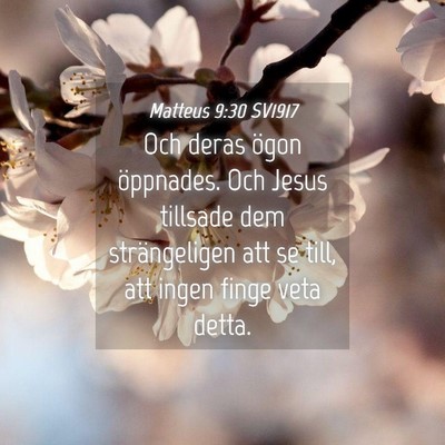 Picture 04 - Matteus 9:30 SV1917 - Och deras ögon öppnades. Och Jesus tillsade dem - Bible Verse Picture