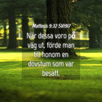 Picture 04 - Matteus 9:32 SV1917 - När dessa voro på väg ut, förde man till - Bible Verse Picture
