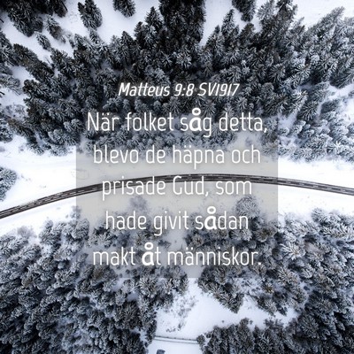 Picture 04 - Matteus 9:8 SV1917 - När folket såg detta, blevo de häpna och - Bible Verse Picture