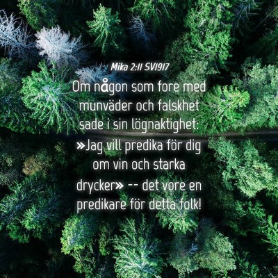 Picture 04 - Mika 2:11 SV1917 - Om någon som fore med munväder och falskhet - Bible Verse Picture