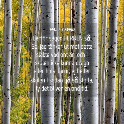 Picture 04 - Mika 2:3 SV1917 - Därför säger HERREN så: Se, jag tänker ut - Bible Verse Picture