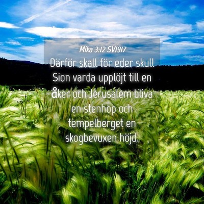Picture 04 - Mika 3:12 SV1917 - Därför skall för eder skull Sion varda - Bible Verse Picture