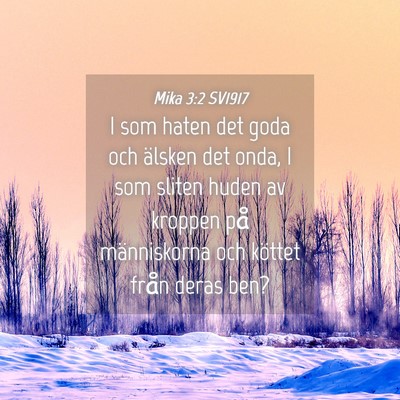 Picture 04 - Mika 3:2 SV1917 - I som haten det goda och älsken det onda, I som - Bible Verse Picture