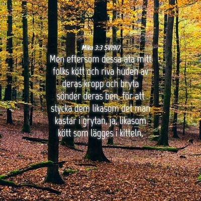 Picture 04 - Mika 3:3 SV1917 - Men eftersom dessa äta mitt folks kött och riva - Bible Verse Picture