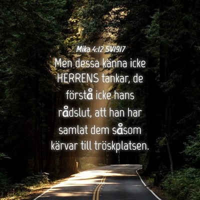 Picture 04 - Mika 4:12 SV1917 - Men dessa känna icke HERRENS tankar, de förstå - Bible Verse Picture
