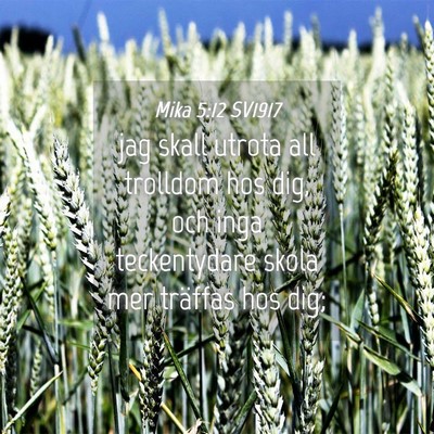 Picture 04 - Mika 5:12 SV1917 - jag skall utrota all trolldom hos dig, och inga - Bible Verse Picture