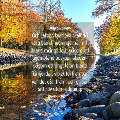 Picture 04 - Mika 5:8 SV1917 - Och Jakobs kvarleva skall då vara bland - Bible Verse Picture