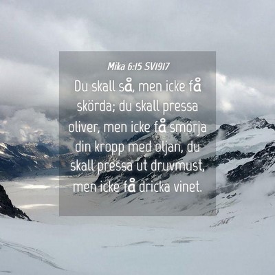 Picture 04 - Mika 6:15 SV1917 - Du skall så, men icke få skörda; du skall - Bible Verse Picture