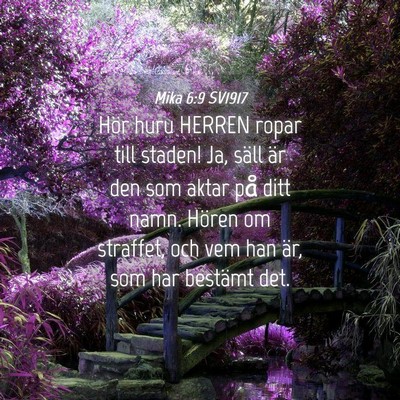 Picture 04 - Mika 6:9 SV1917 - Hör huru HERREN ropar till staden! Ja, säll är - Bible Verse Picture