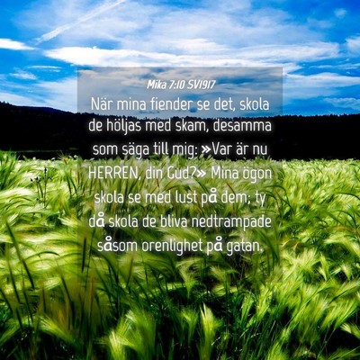 Picture 04 - Mika 7:10 SV1917 - När mina fiender se det, skola de höljas med - Bible Verse Picture