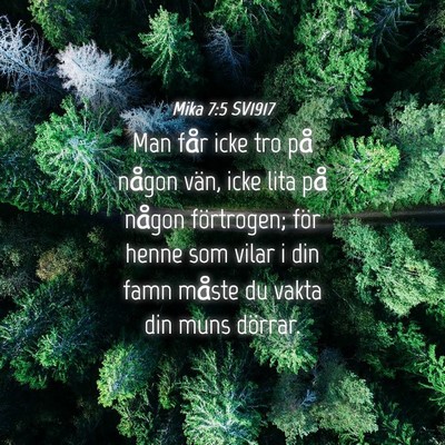Picture 04 - Mika 7:5 SV1917 - Man får icke tro på någon vän, icke lita på - Bible Verse Picture