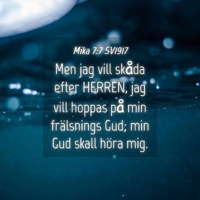 Picture 04 - Mika 7:7 SV1917 - Men jag vill skåda efter HERREN, jag vill hoppas - Bible Verse Picture