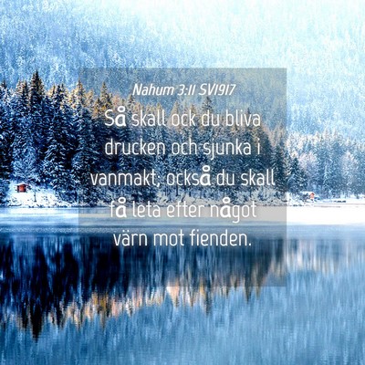 Picture 04 - Nahum 3:11 SV1917 - Så skall ock du bliva drucken och sjunka i - Bible Verse Picture