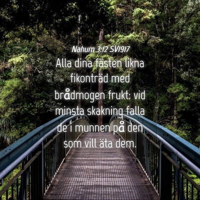 Picture 04 - Nahum 3:12 SV1917 - Alla dina fästen likna fikonträd med brådmogen - Bible Verse Picture