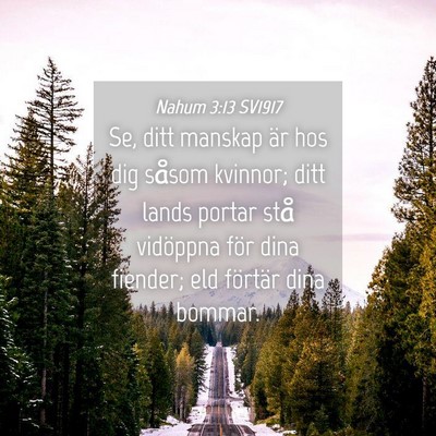 Picture 04 - Nahum 3:13 SV1917 - Se, ditt manskap är hos dig såsom kvinnor; ditt - Bible Verse Picture