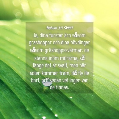 Picture 04 - Nahum 3:17 SV1917 - Ja, dina furstar äro såsom gräshoppor och dina - Bible Verse Picture