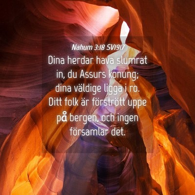 Picture 04 - Nahum 3:18 SV1917 - Dina herdar hava slumrat in, du Assurs konung; - Bible Verse Picture