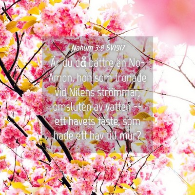 Picture 04 - Nahum 3:8 SV1917 - Är du då bättre än No-Amon, hon som tronade - Bible Verse Picture
