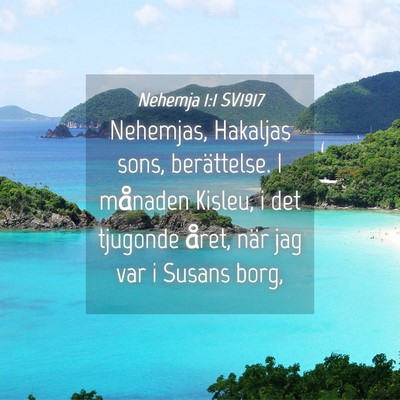 Picture 04 - Nehemja 1:1 SV1917 - Nehemjas, Hakaljas sons, berättelse. I månaden - Bible Verse Picture
