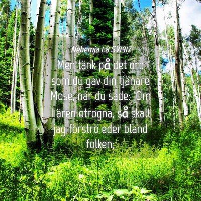 Picture 04 - Nehemja 1:8 SV1917 - Men tänk på det ord som du gav din tjänare - Bible Verse Picture
