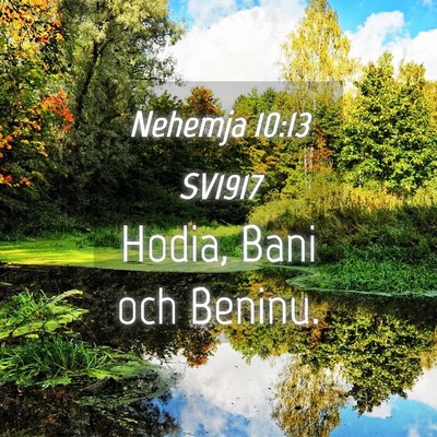 Picture 04 - Nehemja 10:13 SV1917 - Hodia, Bani och - Bible Verse Picture