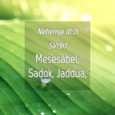 Picture 04 - Nehemja 10:21 SV1917 - Mesesabel, Sadok, - Bible Verse Picture
