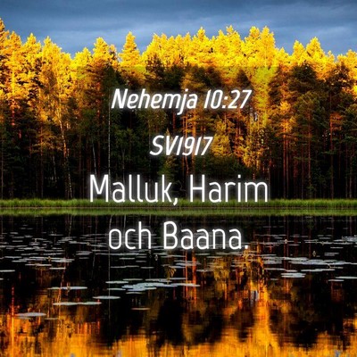 Picture 04 - Nehemja 10:27 SV1917 - Malluk, Harim och - Bible Verse Picture
