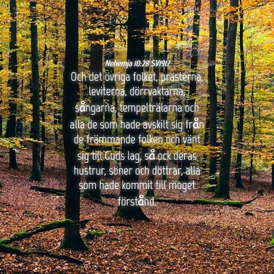 Picture 04 - Nehemja 10:28 SV1917 - Och det övriga folket, prästerna, leviterna, - Bible Verse Picture