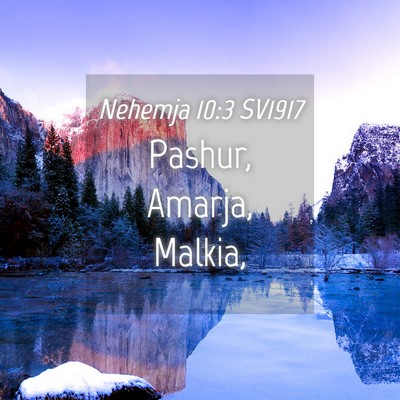 Picture 04 - Nehemja 10:3 SV1917 - Pashur, Amarja, - Bible Verse Picture