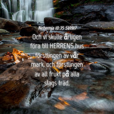 Picture 04 - Nehemja 10:35 SV1917 - Och vi skulle årligen föra till HERRENS hus - Bible Verse Picture