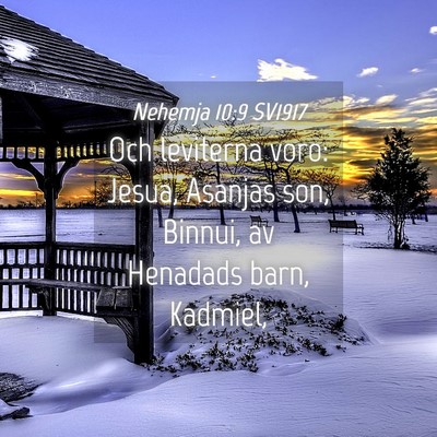 Picture 04 - Nehemja 10:9 SV1917 - Och leviterna voro: Jesua, Asanjas son, Binnui, - Bible Verse Picture