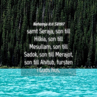 Picture 04 - Nehemja 11:11 SV1917 - samt Seraja, son till Hilkia, son till Mesullam, - Bible Verse Picture