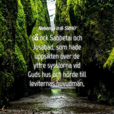 Picture 04 - Nehemja 11:16 SV1917 - så ock Sabbetai och Josabad, som hade uppsikten - Bible Verse Picture