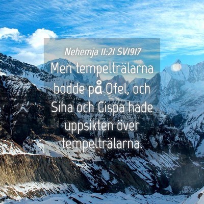 Picture 04 - Nehemja 11:21 SV1917 - Men tempelträlarna bodde på Ofel, och Siha och - Bible Verse Picture