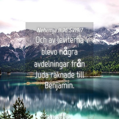 Picture 04 - Nehemja 11:36 SV1917 - Och av leviterna blevo några avdelningar från - Bible Verse Picture