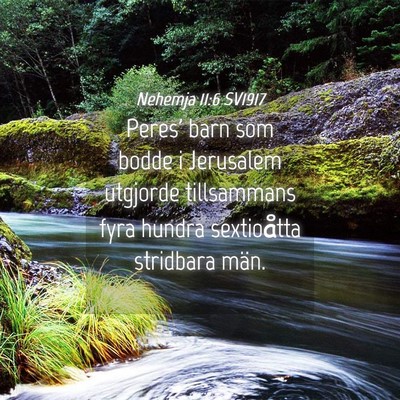 Picture 04 - Nehemja 11:6 SV1917 - Peres' barn som bodde i Jerusalem utgjorde - Bible Verse Picture